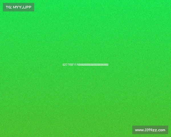 以2018年FIFA世界杯考察证为核心的赛事管理与信息分析研究